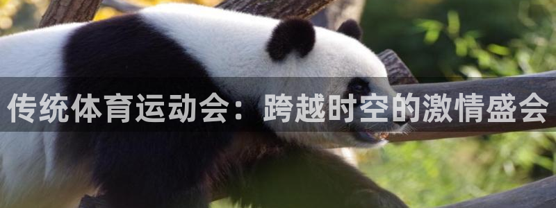 杏悦2官网登录入口