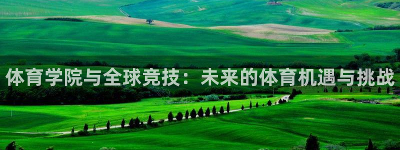 成都杏悦2电子有限公司