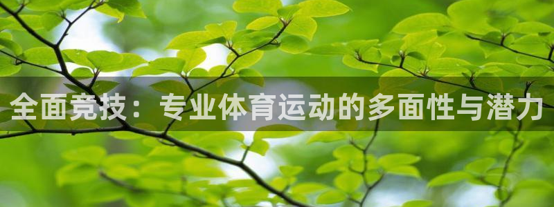 杏悦2代理注册