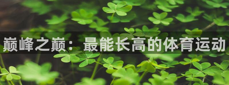 杏悦2体育f开号