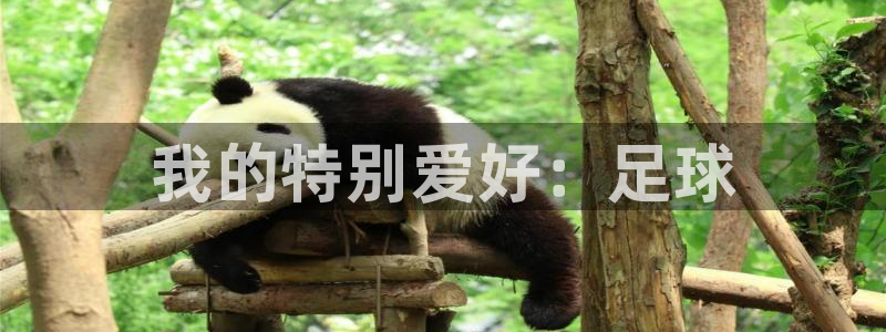 杏悦2体育凯捷平台注册