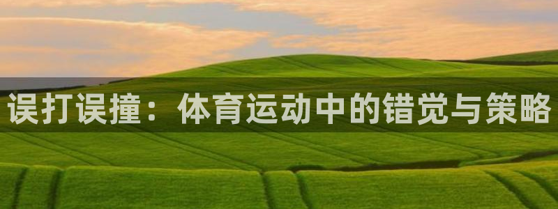 杏悦2体育官网注册