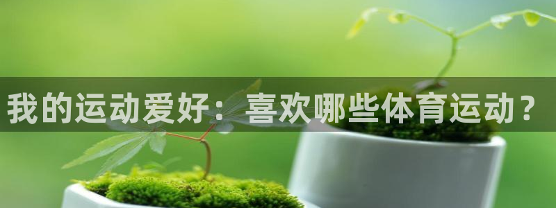 杏悦2体育平台登录入口