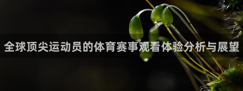 杏悦2体育凯捷平台注册
