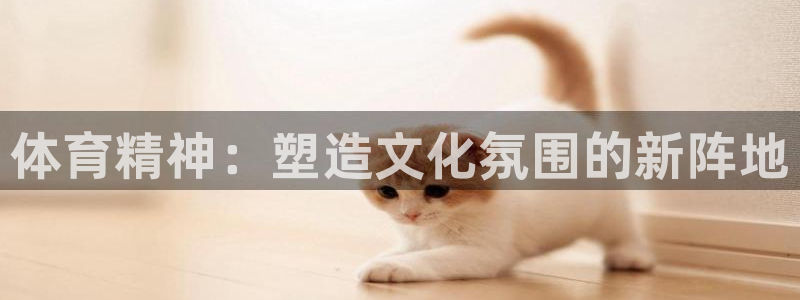 杏悦25招商