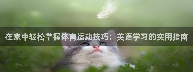 杏悦2体育官网