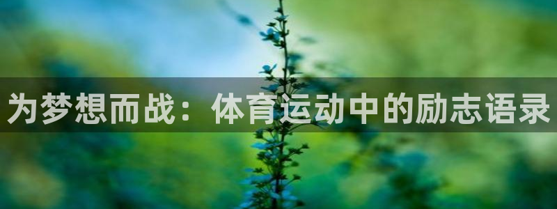 www.杏悦2体育.com