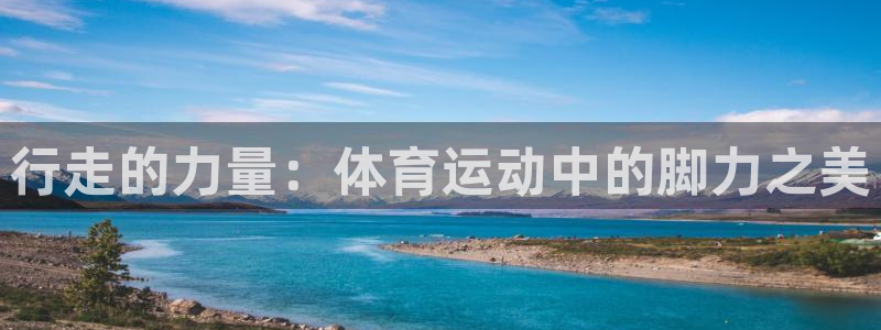 杏悦2平台注册