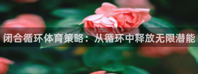 杏悦22代理注册