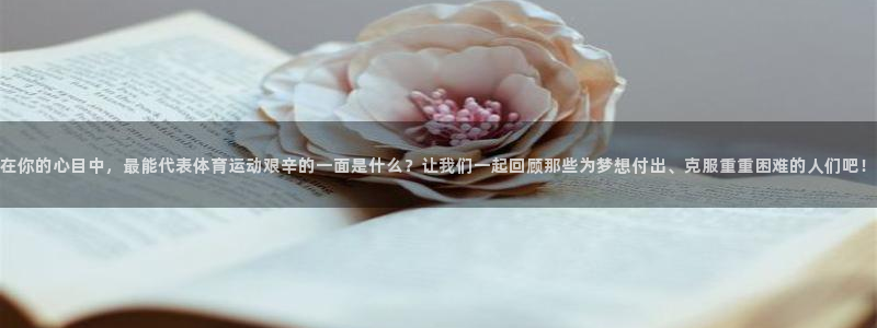 杏悦23平台注册