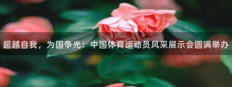 杏悦2官网