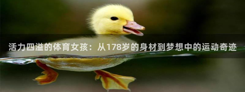 杏悦25招商