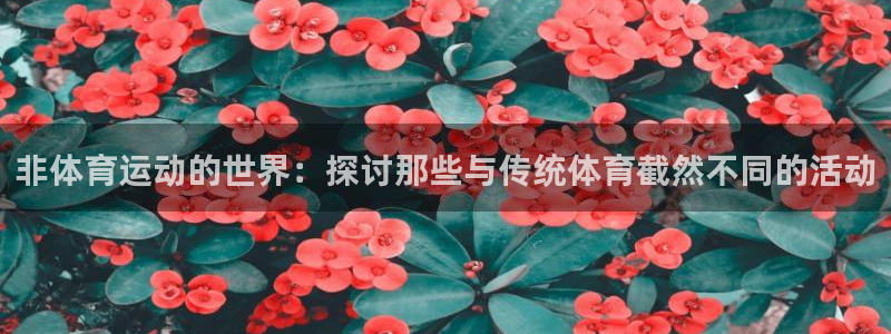杏悦2主管球27337
