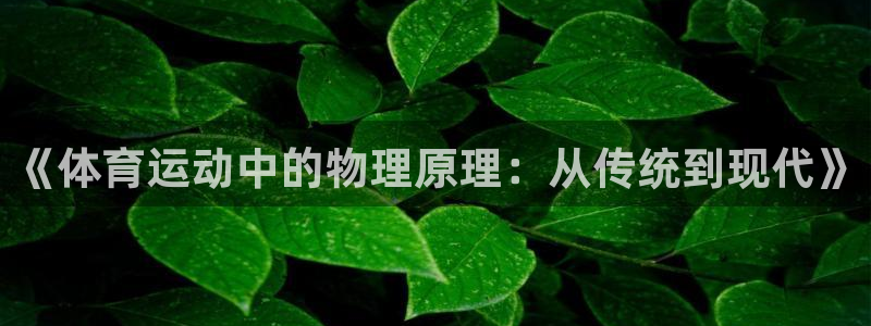 杏悦2体育在线注册