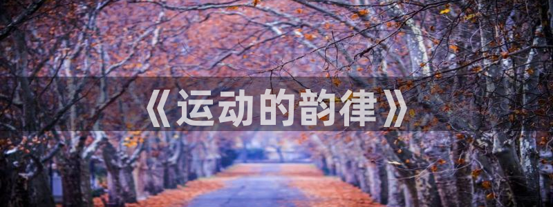 杏悦22平台注册