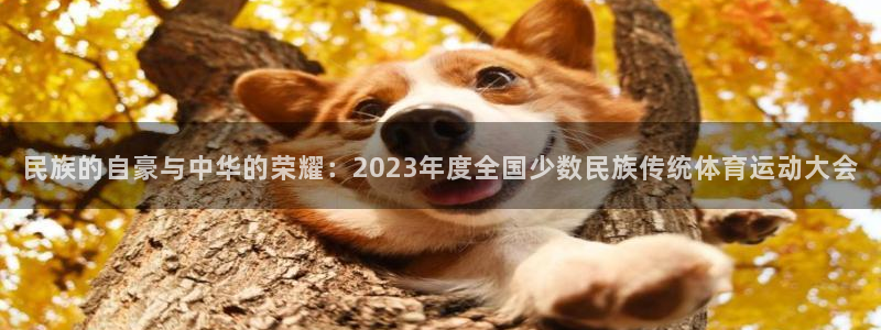 杏悦2f凯捷平台在线注册
