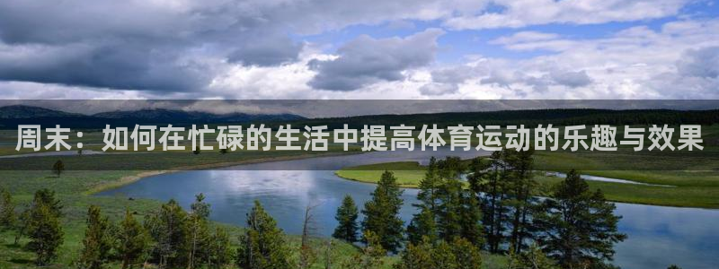 杏悦2主管