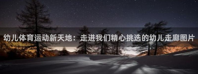 杏悦2官网注册