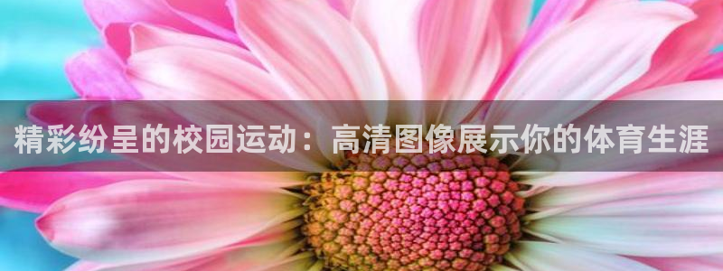 杏悦22官网