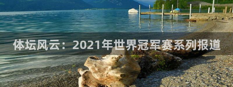 上海杏悦2汽车电子有限公司