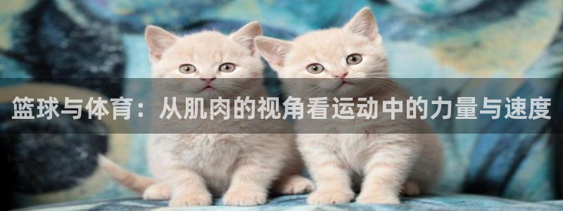 杏悦2能源