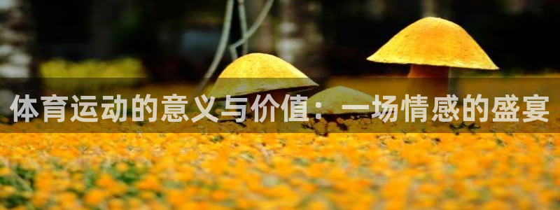 杏悦2体育代理
